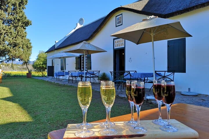 Secret Cellars Wine Tasting and Lunch in the Cape Winelands photo 6
