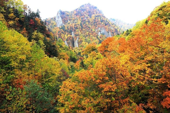 Sapporo to Hoheikyo Onsen & Sapporo Kokusai Ski Resort — Private Day Trip with Onsen photo 5