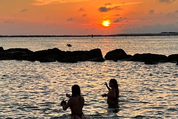 Private Panama City Beach Sunset Tour — Small-Boat Dolphin Watching & Shell Island Snorkel