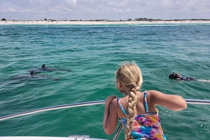 Private Dolphin Swim and Snorkeling Tour — Panama City Beach Gulf Adventure
