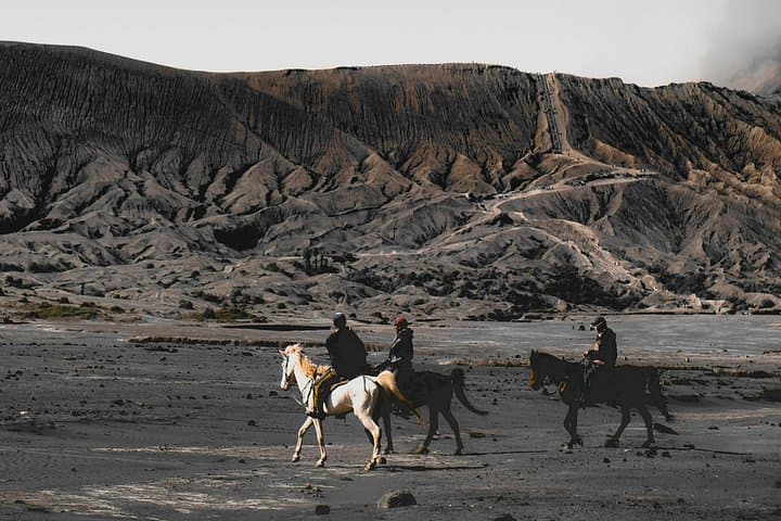 East Java Adventure: De Djawatan Moss Forest, Ijen Blue Fire, Bromo Sunrise & Tumpak Sewu 4-Day Tour photo 4