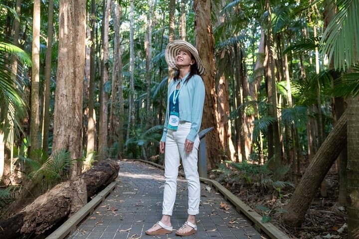 Cairns Waterfalls, Wetlands & Skyrail: Small-Group All-Inclusive Day Trip