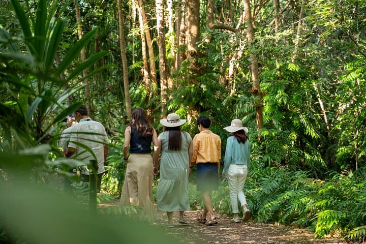 Cairns Waterfall, Wetlands & Kuranda Scenic Rail Day Tour — Barron Gorge Experience photo 3