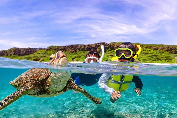 Miyakojima Sea Turtle Snorkeling: High-Probability Turtle Encounters & Coral Reefs