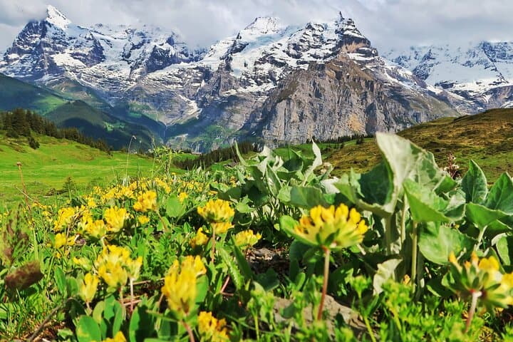 Grütschalp to Mürren Hike with Trümmelbach Falls: Classic Lauterbrunnen Valley Walk