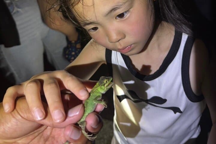 Miyakojima Jungle Night Tour: Coconut Crabs, Insects & Stargazing photo 5