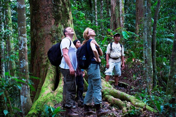 Bukit Lawang 4-Day Jungle Trek: Orangutans, River Camps & Tube-Raft Return