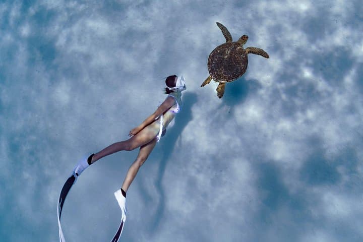Private Snorkeling Tour on Ishigaki Island — Blue Cave, Sea Turtles & Waterfall Escape photo 2