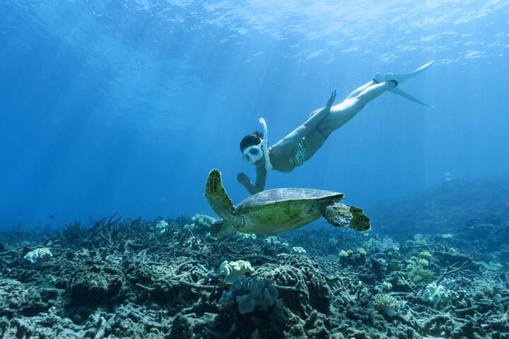 Private Snorkeling Tour on Ishigaki Island — Blue Cave, Sea Turtles & Waterfall Escape photo 1
