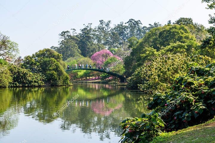 Shared São Paulo City Tour: Ibirapuera, Sé & Vila Madalena Highlights
