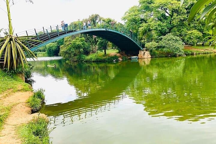 Shared São Paulo City Tour: Ibirapuera, Sé & Vila Madalena Highlights photo 4