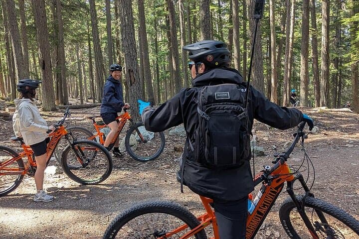 Experience Whistler’s Mountain Breeze Tour: Beginner-Friendly Mountain E-Biking Adventure photo 2