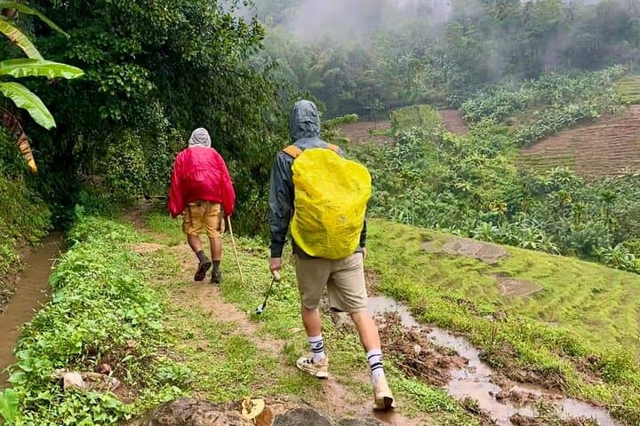 Knuckles Mountain Range Trek: Day Trek From Kandy into Sri Lanka's Cloud Forests photo 3