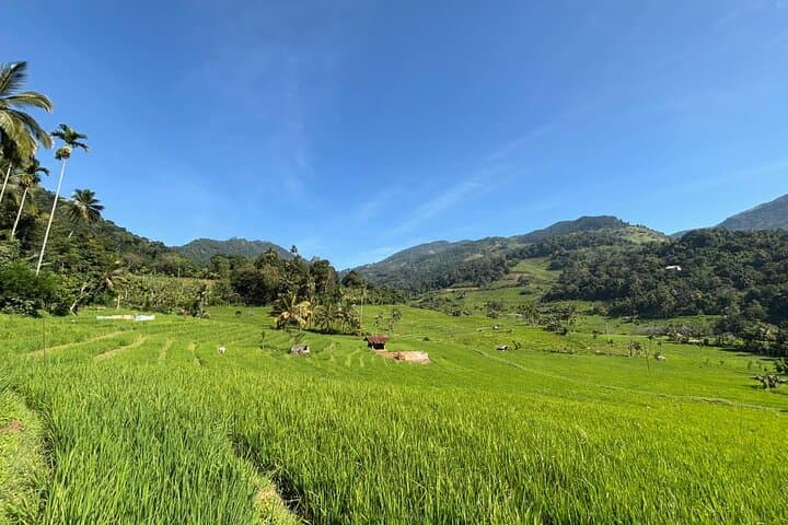 Knuckles Mountain Range Trek: Day Trek From Kandy into Sri Lanka's Cloud Forests photo 4