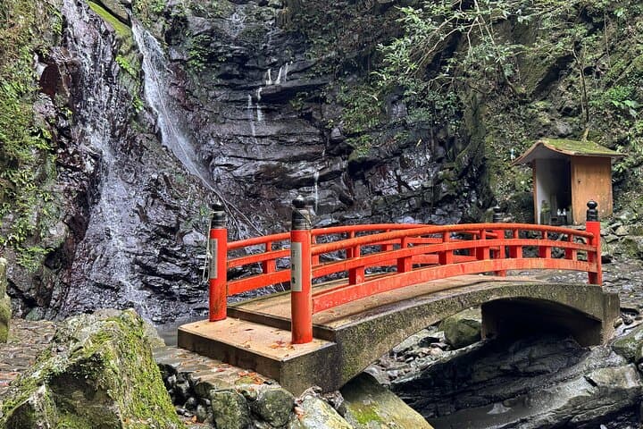 Shipporyu-ji Shugendo Waterfall Tour Near KIX: A 3‑Hour Sacred Forest Walk photo 2