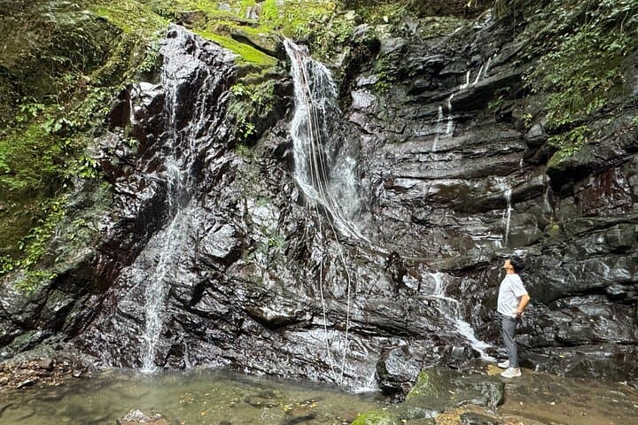 Shipporyu-ji Shugendo Waterfall Tour Near KIX: A 3‑Hour Sacred Forest Walk photo 3
