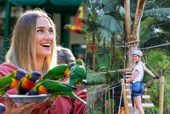 Currumbin Wildlife Sanctuary + TreeTop Challenge: Gold Coast Adventure Pass photo 1