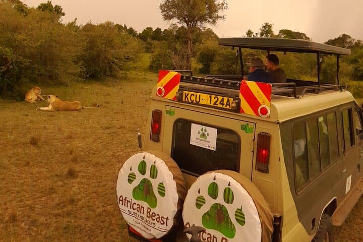 4-Day Maasai Mara and Lake Nakuru Big Five Safari — Private 4x4 Game Drives photo 6