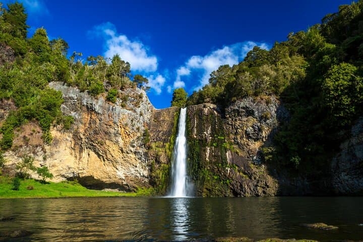 Auckland Birdwatching & Hunua Falls Hiking Private Tour photo 4
