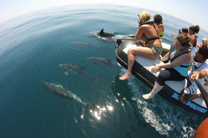 Benagil Caves & Dolphin-Spotting Boat Tour from Albufeira photo 3