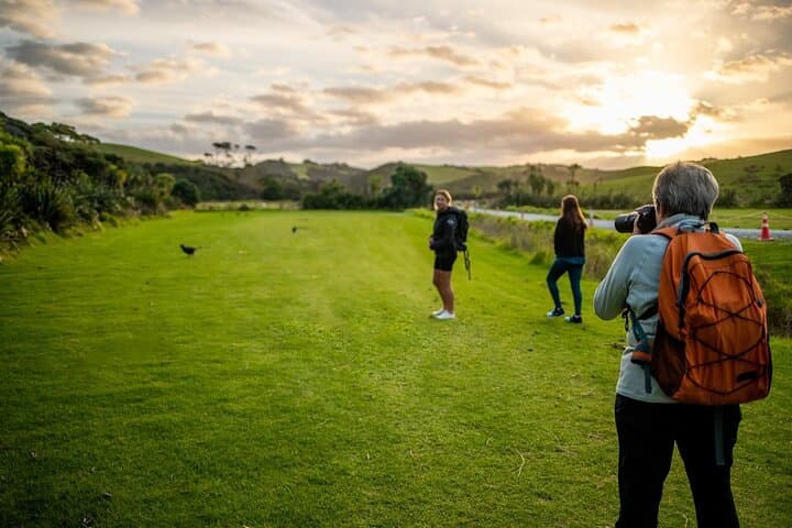 Twilight Kiwi Encounter at Tāwharanui: Private Night Walk & Matakana Dinner photo 3