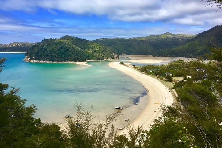Twilight Kiwi Encounter at Tāwharanui: Private Night Walk & Matakana Dinner photo 5