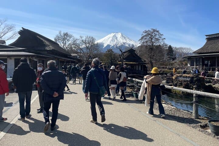 Private Mt. Fuji Day Tour from Shimizu Port — 5th Station, Lake Kawaguchi & Ropeway photo 4