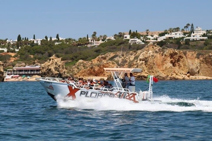 Albufeira Dolphin Watching and Benagil Caves Cruise photo 2