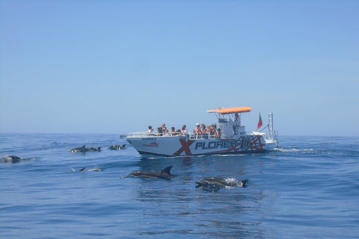 Albufeira Dolphin Watching and Benagil Caves Cruise photo 3