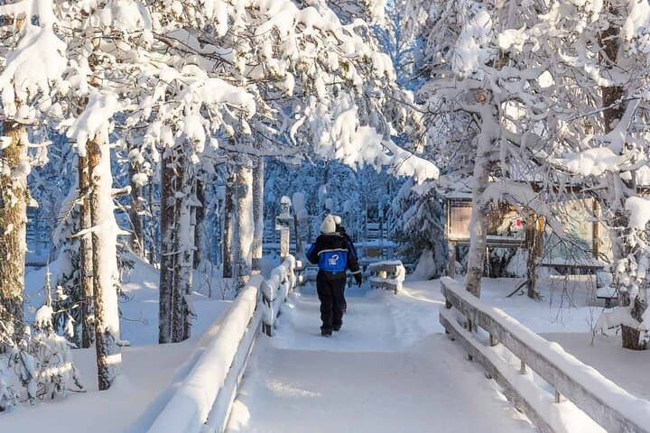 Ranua Zoo Guided Tour from Kemijärvi: Arctic Wildlife Experience photo 5