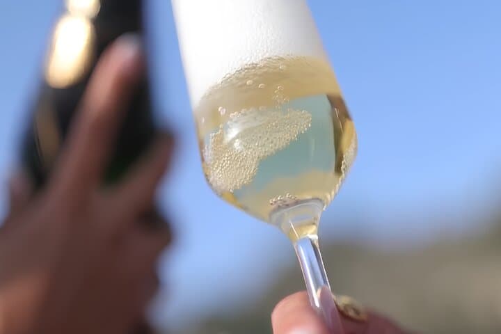 Evening Boat Wine Tasting Off Taormina: Maxi RIB Cruise & Sicilian Wines