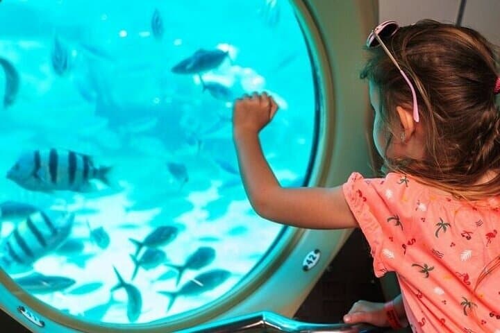 Semi-Submarine and Snorkeling Tour in Hurghada: Red Sea Coral Viewing photo 2