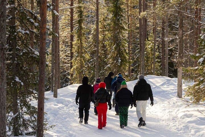 Korouoma Frozen Waterfalls Hike — Kemijärvi Day Tour to Lapland Icefalls photo 3