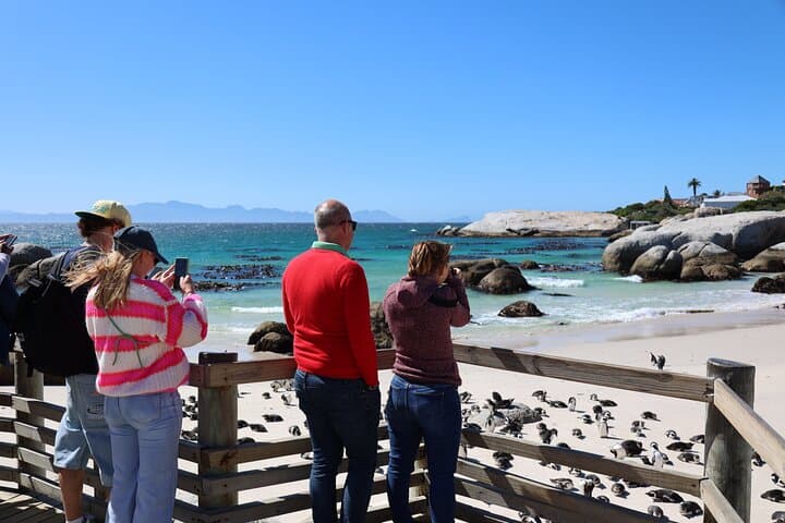 Boulders Beach Penguin Encounter: Half-Day Tour from Cape Town photo 5