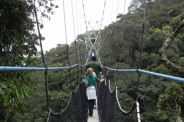 Nyungwe Canopy Walk: One-Day Aerial Forest Adventure from Kigali photo 2