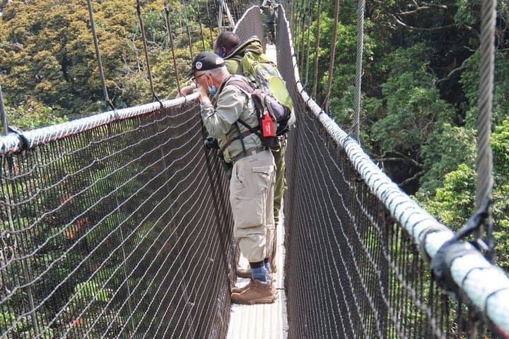 Nyungwe Canopy Walk: One-Day Aerial Forest Adventure from Kigali photo 3