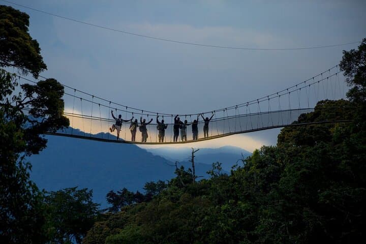 Nyungwe Canopy Walk: One-Day Aerial Forest Adventure from Kigali photo 4
