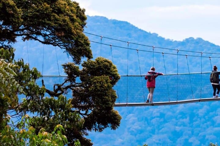 Nyungwe Canopy Walk: One-Day Aerial Forest Adventure from Kigali photo 5
