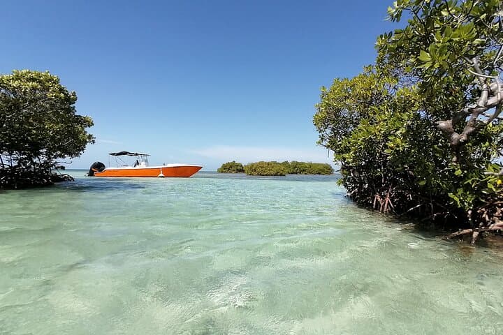 Float-and-Snorkel Lunch in Guadeloupe’s Grand Cul-de-Sac Marin photo 3