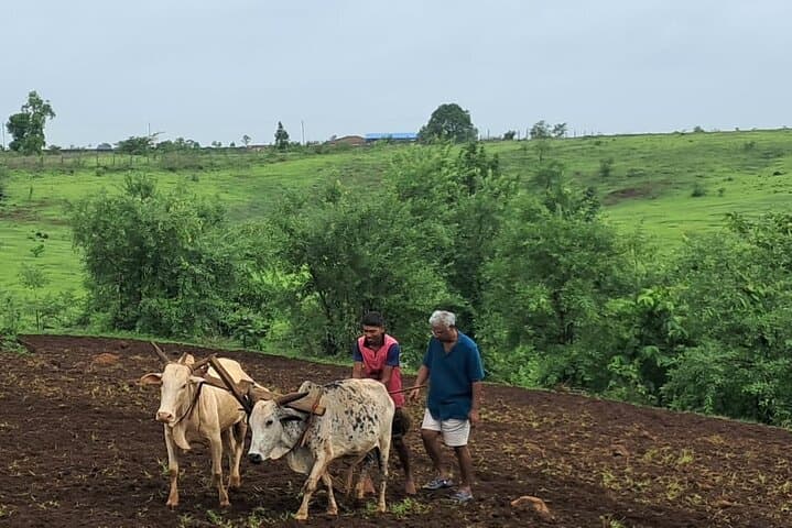 Trek and Stargaze: Small-Town Maharashtra Nature Escape near Shahapur photo 6