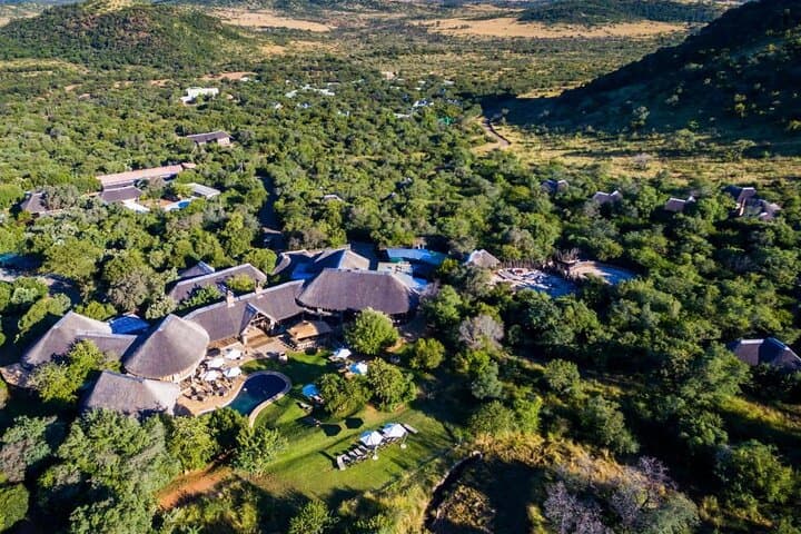 Four-Day Pilanesberg Safari at Ivory Tree Game Lodge — Big Five & Luxury Open-Drive Experience photo 3