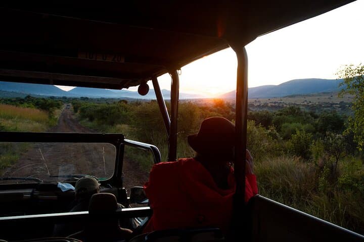 2-Day Pilanesberg Safari at Shepherd Tree Game Lodge — Big Five Safari from Johannesburg photo 6
