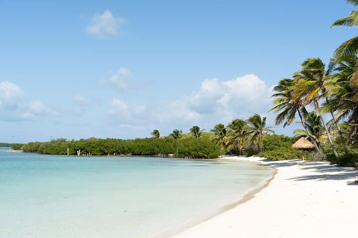 Discover Isla Contoy and Isla Mujeres: Deluxe Snorkeling Boat Tour from Cancun photo 4
