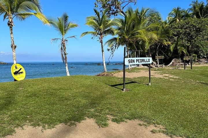 San Pedrillo Day Tour — Corcovado National Park Day Hike from Drake Bay photo 1