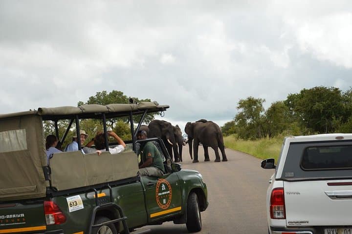 Full-Day Pilanesberg Safari from Johannesburg — Big 5 in a Volcanic Crater