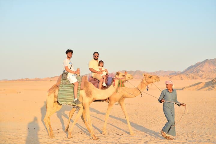 Marsa Alam Desert Safari: Jeep, Quad, Camel & Bedouin Stargazing Experience photo 2