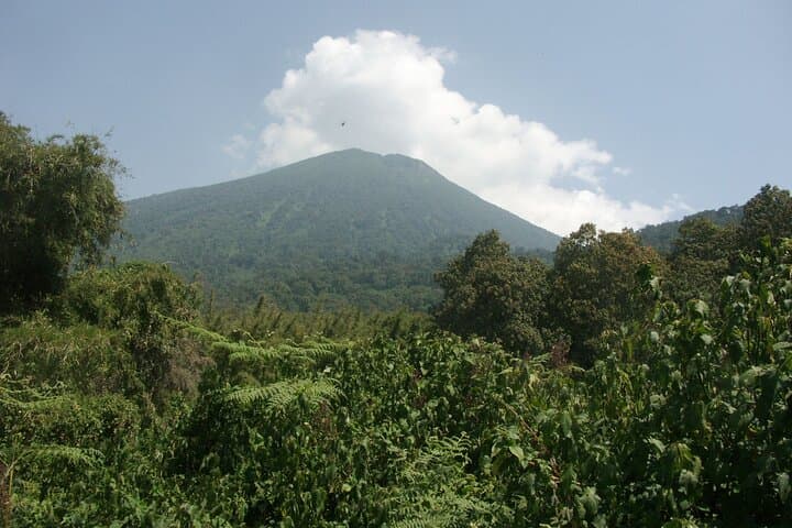 Summiting Mount Bisoke: A One-Day Volcano Hike from Kigali