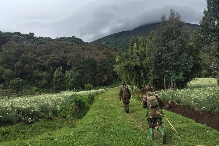 Summiting Mount Bisoke: A One-Day Volcano Hike from Kigali photo 3
