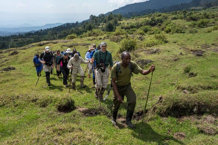 Summiting Mount Bisoke: A One-Day Volcano Hike from Kigali photo 4