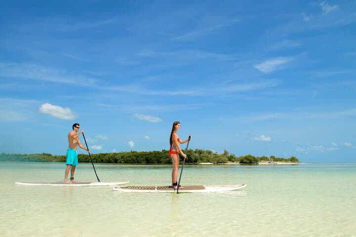 Miami to Key West Overnight Transfer: Scenic Round-Trip Bus Across the Florida Keys photo 2